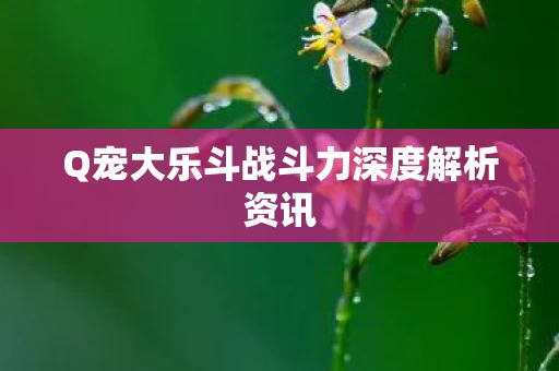 Q宠大乐斗战斗力深度解析资讯图片