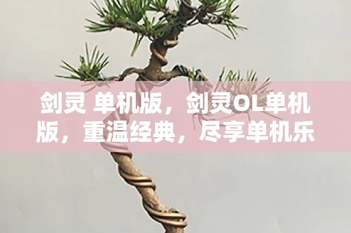 剑灵 单机版，剑灵OL单机版，重温经典，尽享单机乐趣