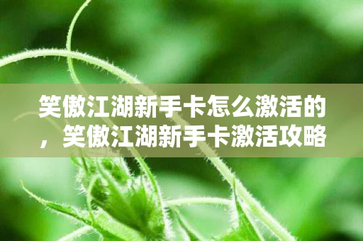 笑傲江湖新手卡怎么激活的，笑傲江湖新手卡激活攻略
