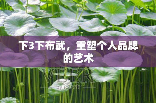 下3下布武，重塑个人品牌的艺术