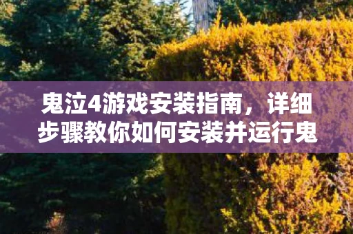 详细步骤教你如何安装并运行鬼泣4游戏图片