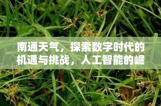 南通天气，探索数字时代的机遇与挑战，人工智能的崛起与影响