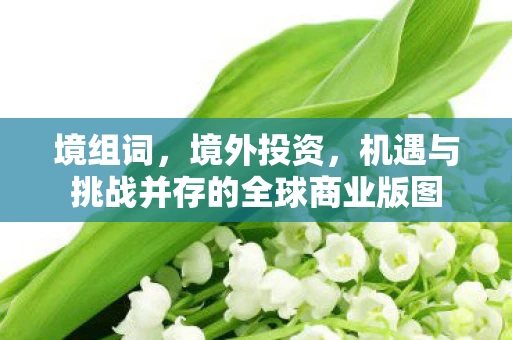 境组词,境外投资,机遇与挑战并存的全球商业版图 境组词,境外投资,机遇与挑战并存的全球商业版图
