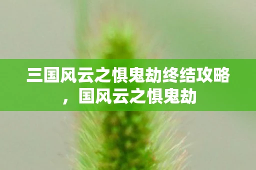 三国风云之惧鬼劫终结攻略，国风云之惧鬼劫