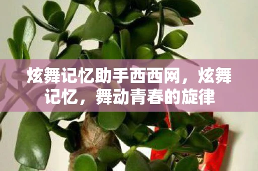 炫舞记忆助手西西网，炫舞记忆，舞动青春的旋律