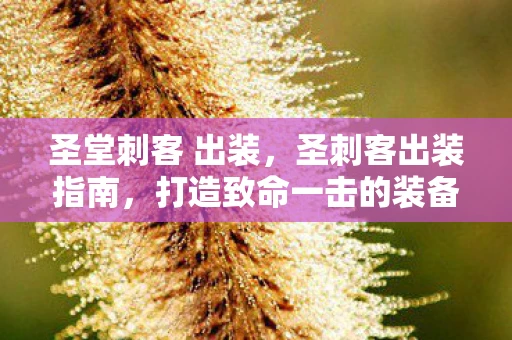 圣堂刺客 出装，圣刺客出装指南，打造致命一击的装备搭配