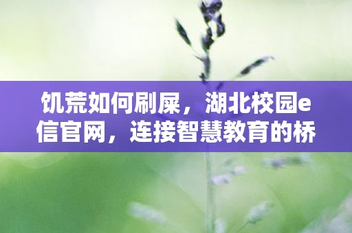 饥荒如何刷屎，湖北校园e信官网，连接智慧教育的桥梁