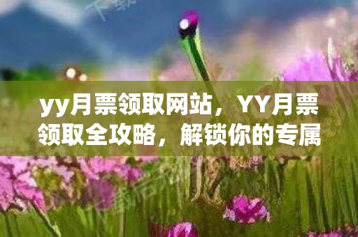 yy月票领取网站，YY月票领取全攻略，解锁你的专属福利！