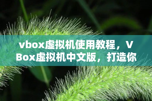 vbox虚拟机使用教程，VBox虚拟机中文版，打造你的私人云端