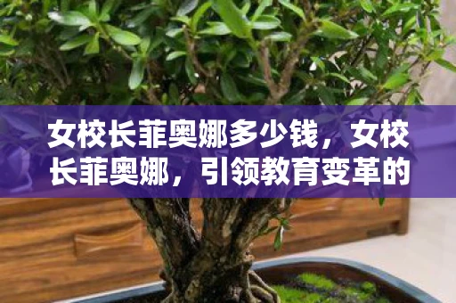 女校长菲奥娜多少钱，女校长菲奥娜，引领教育变革的先锋