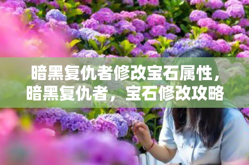 暗黑复仇者修改宝石属性，暗黑复仇者，宝石修改攻略