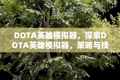 DOTA英雄模拟器,探索DOTA英雄模拟器,策略与技巧的奇幻之旅 DOTA英雄模拟器,探索DOTA英雄模拟器,策略与技巧的奇幻之旅