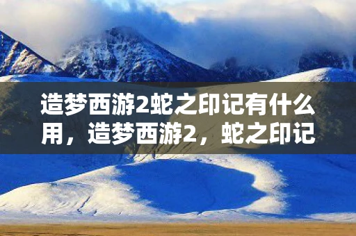 造梦西游2蛇之印记有什么用，造梦西游2，蛇之印记的神秘力量