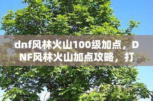 dnf风林火山100级加点，DNF风林火山加点攻略，打造最强战斗力的关键