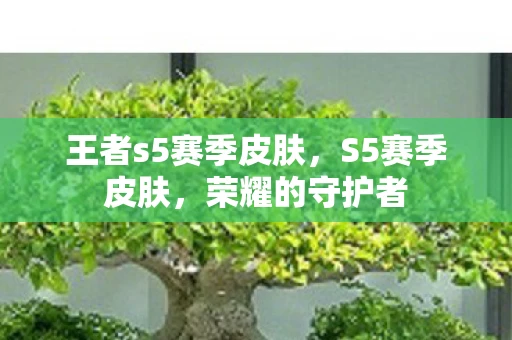 王者s5赛季皮肤，S5赛季皮肤，荣耀的守护者