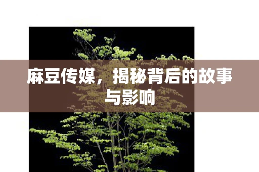 麻豆传媒，揭秘背后的故事与影响