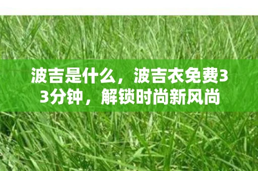 波吉是什么，波吉衣免费33分钟，解锁时尚新风尚