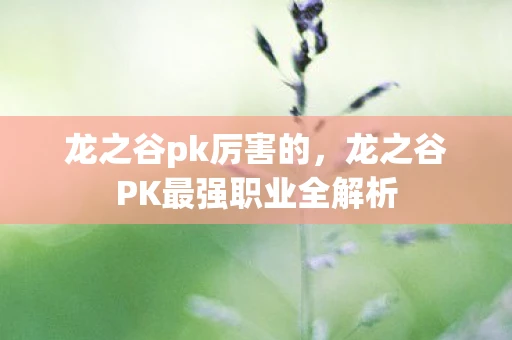龙之谷pk厉害的，龙之谷PK最强职业全解析