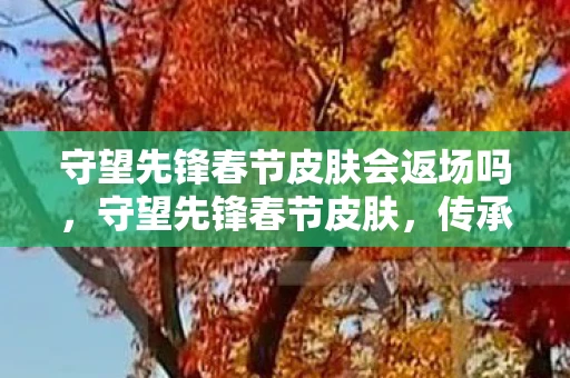 守望先锋春节皮肤会返场吗，守望先锋春节皮肤，传承与创新的融合