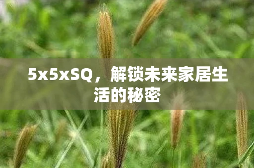 5x5xSQ,解锁未来家居生活的秘密 5x5xSQ,解锁未来家居生活的秘密