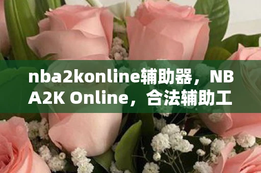 nba2konline辅助器，NBA2K Online，合法辅助工具助你提升游戏水平