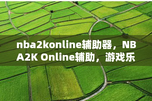 nba2konline辅助器，NBA2K Online辅助，游戏乐趣与规则的边界