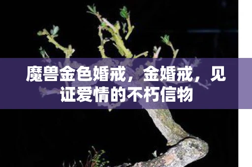 魔兽金色婚戒，金婚戒，见证爱情的不朽信物