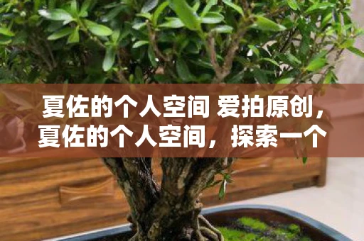 夏佐的个人空间 爱拍原创，夏佐的个人空间，探索一个独特而丰富的内心世界
