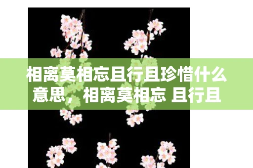 相离莫相忘且行且珍惜什么意思，相离莫相忘 且行且珍惜