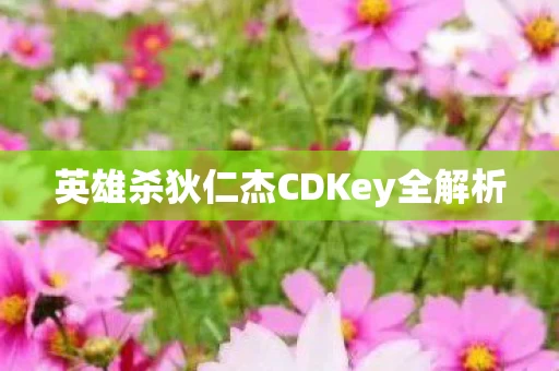 英雄杀狄仁杰CDKey全解析图片