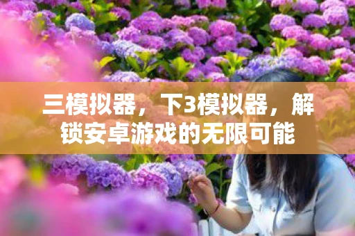 三模拟器，下3模拟器，解锁安卓游戏的无限可能