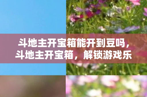 斗地主开宝箱能开到豆吗，斗地主开宝箱，解锁游戏乐趣的新方式