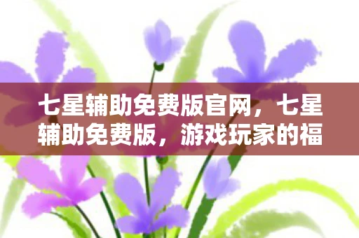 七星辅助免费版官网，七星辅助免费版，游戏玩家的福音？