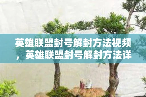 英雄联盟封号解封方法视频，英雄联盟封号解封方法详解