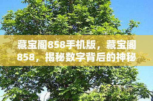 藏宝阁858手机版，藏宝阁858，揭秘数字背后的神秘故事