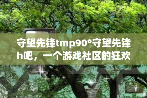 守望先锋tmp90°守望先锋h吧，一个游戏社区的狂欢与坚守