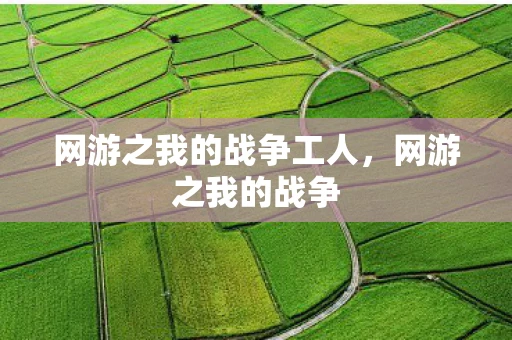 网游之我的战争工人，网游之我的战争