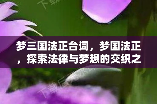 梦三国法正台词，梦国法正，探索法律与梦想的交织之路