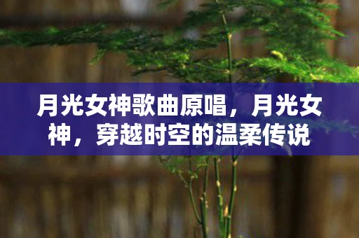 月光女神歌曲原唱，月光女神，穿越时空的温柔传说