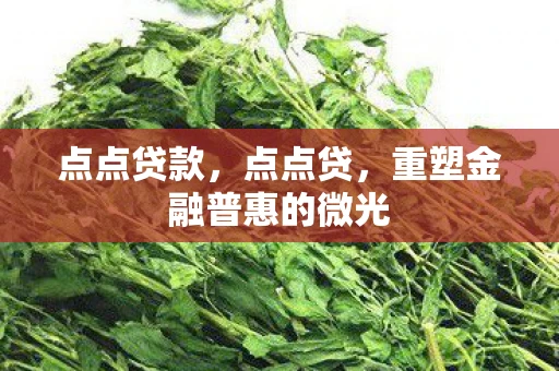 点点贷款，点点贷，重塑金融普惠的微光