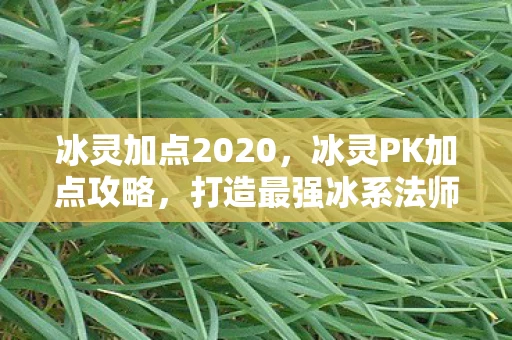 冰灵加点2020，冰灵PK加点攻略，打造最强冰系法师