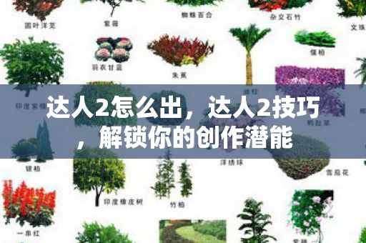 达人2怎么出，达人2技巧，解锁你的创作潜能