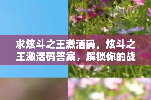 求炫斗之王激活码，炫斗之王激活码答案，解锁你的战斗之旅