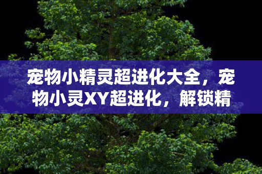 宠物小精灵超进化大全，宠物小灵XY超进化，解锁精灵世界的无限可能