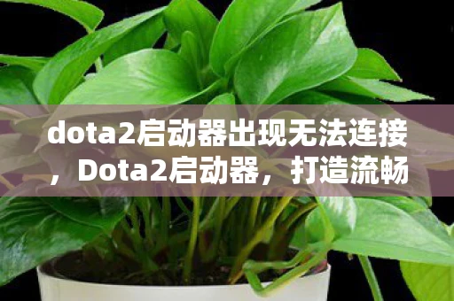 dota2启动器出现无法连接，Dota2启动器，打造流畅游戏体验的必备工具