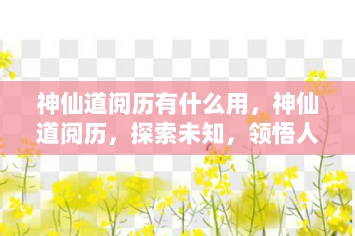 神仙道阅历有什么用，神仙道阅历，探索未知，领悟人生真谛