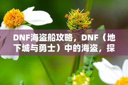 DNF海盗船攻略，DNF（地下城与勇士）中的海盗，探索未知海域的冒险之旅
