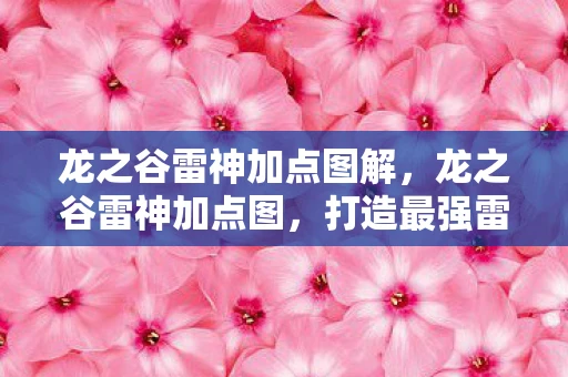 龙之谷雷神加点图解，龙之谷雷神加点图，打造最强雷神战士的攻略