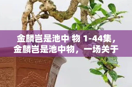 金麟岂是池中 物 1-44集，金麟岂是池中物，一场关于自我超越与梦想实现的旅程