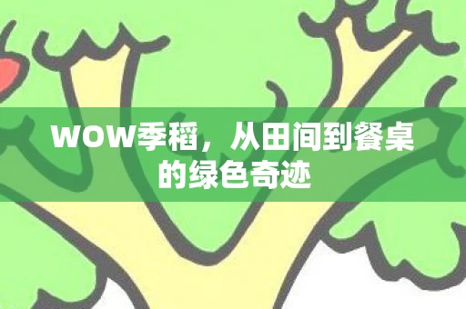 WOW季稻，从田间到餐桌的绿色奇迹